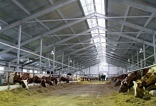 Иностранные инвесторы помогут сельскому хозяйству Коми