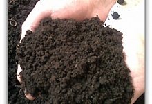 Почему Бог не дал крыльев человеку?