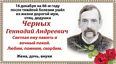 Черных  Геннадий Андреевич