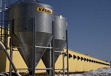 На Зеленецкой птицефабрике заселили современный птичник на шестьдесят тысяч кур