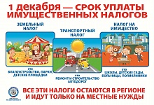 Срок уплаты имущественных налогов истёк